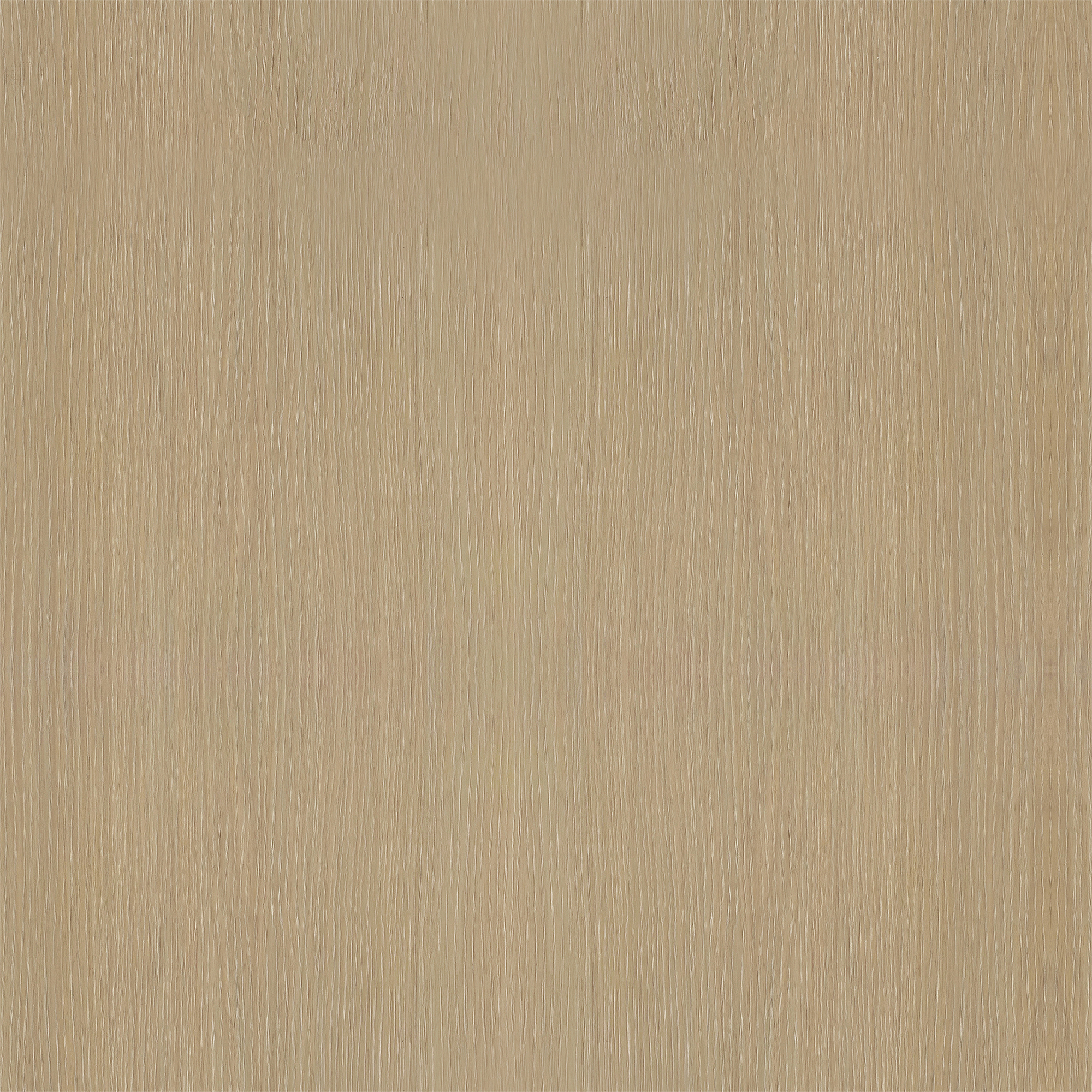 北美櫸木·門墻柜·